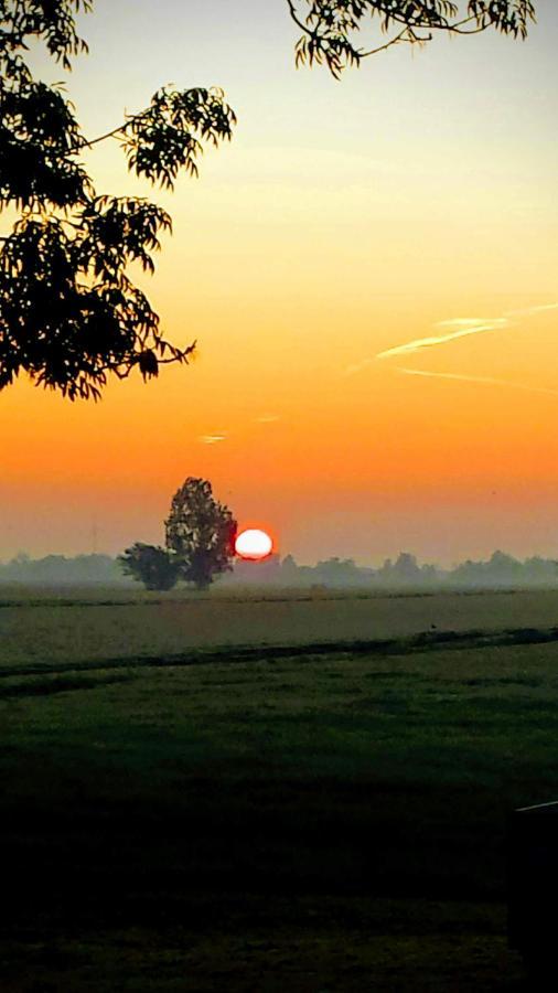 Het Kraaienbosch Bed & Breakfast Zegveld Екстериор снимка