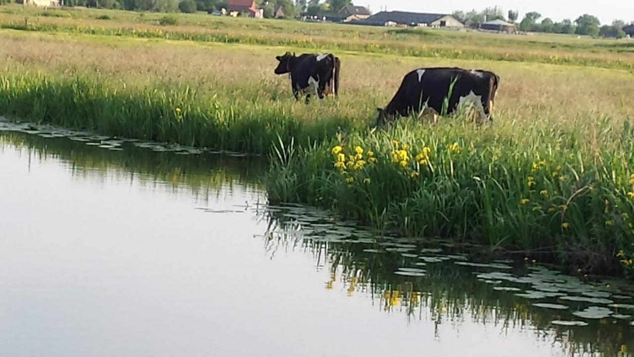 Het Kraaienbosch Bed & Breakfast Zegveld Екстериор снимка